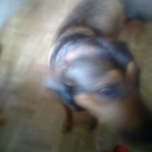 Meet your Posher, Mandi